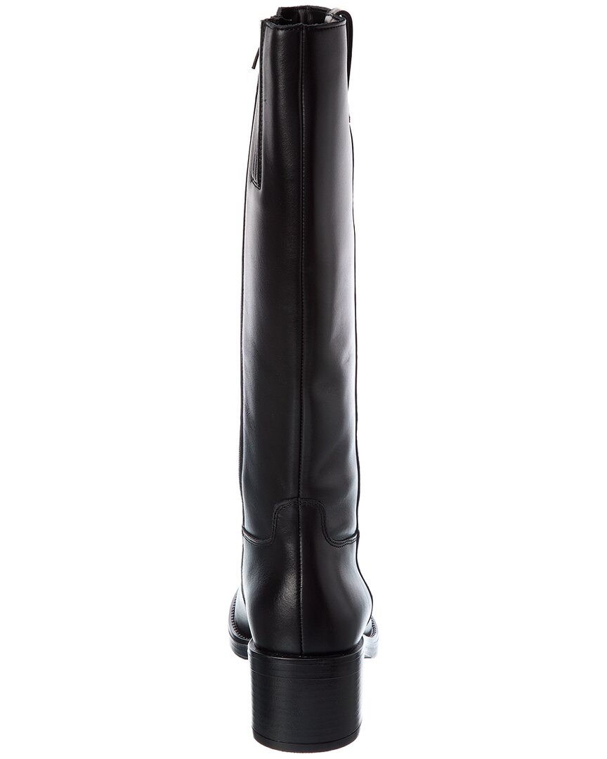 Black-