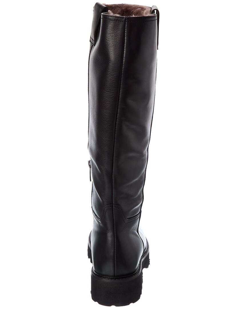 Black-