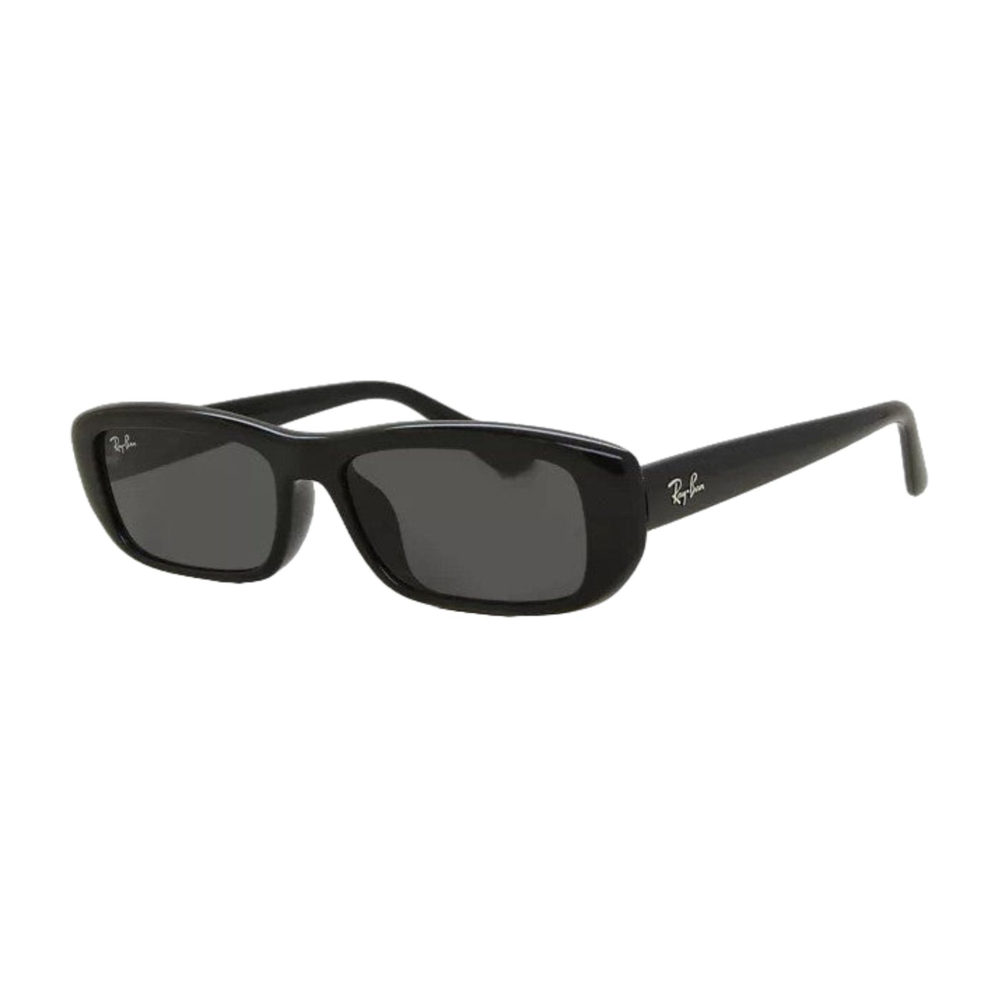 RayBan Sunglasses RB4436D 667787 55