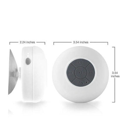 White-