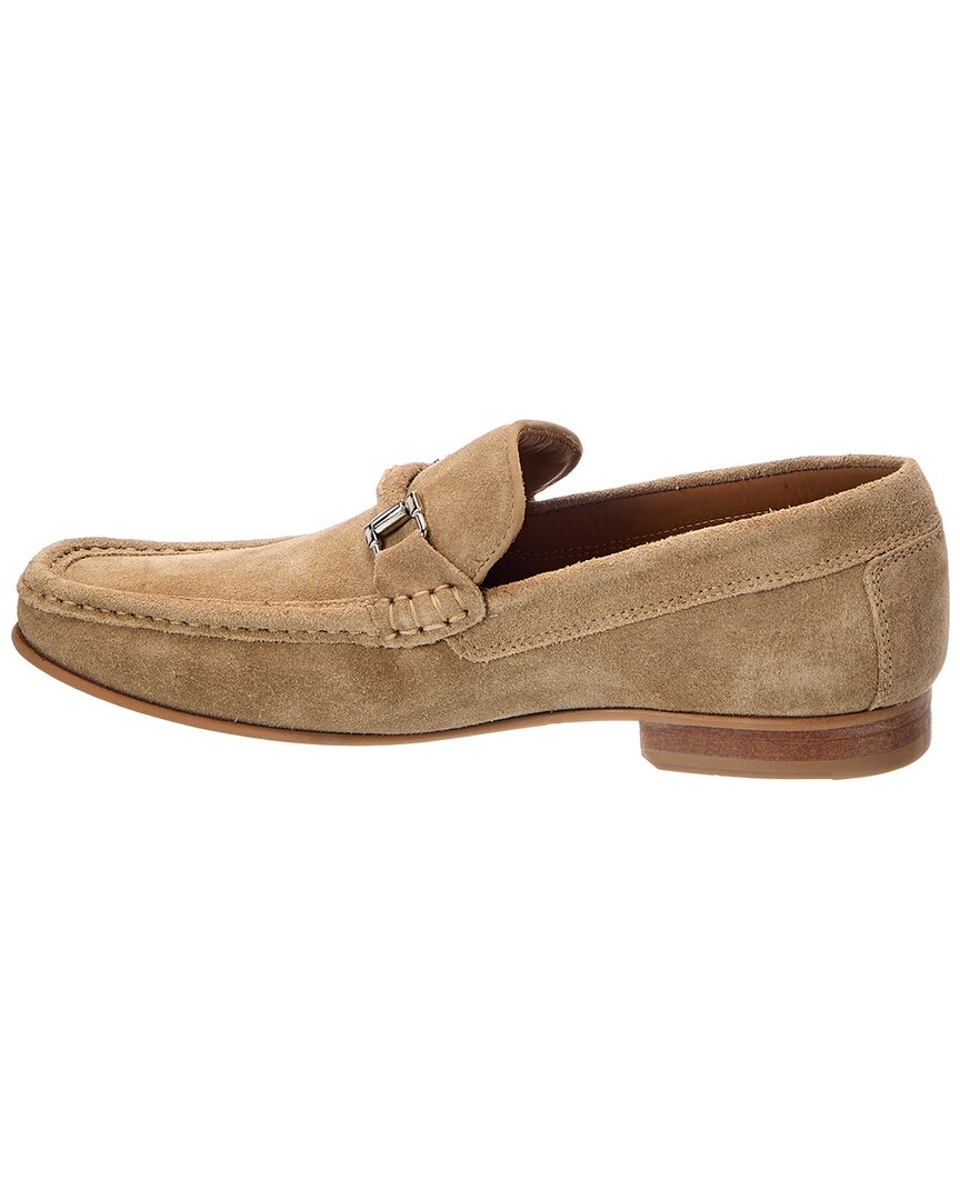 TAU-TAUPE-