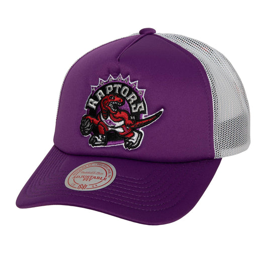 Men's Mitchell & Ness NBA Off The Backboard Trucker Hwc Raptors
