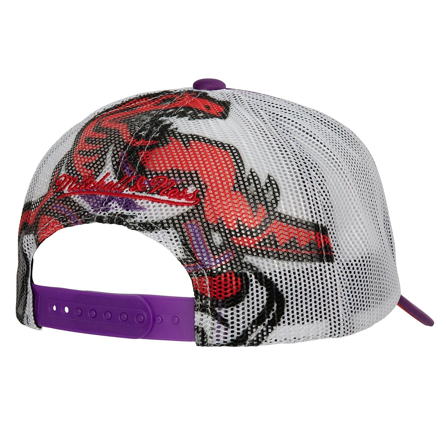 Men's Mitchell & Ness NBA Off The Backboard Trucker Hwc Raptors