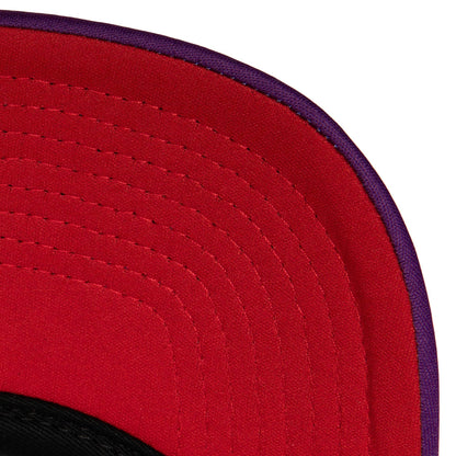 Mitchell & Ness Men's NBA Off The Backboard Trucker Hwc Raptors Hats