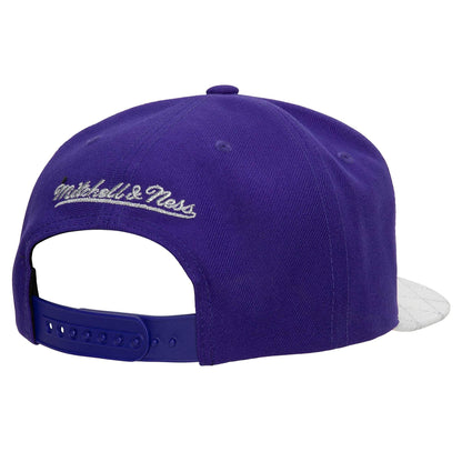 Mitchell & Ness Men's NBA 75Th Platinum Snapback Lakers
