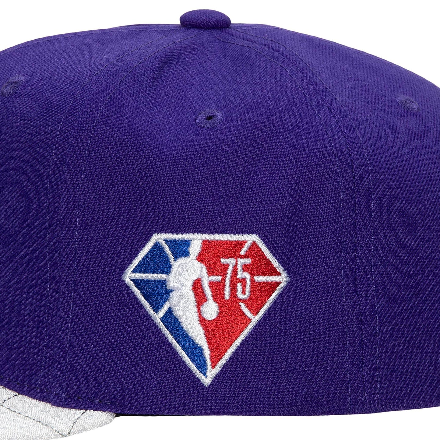 Mitchell & Ness Men's NBA 75Th Platinum Snapback Lakers