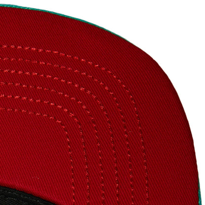 Mitchell & Ness Men's NBA Front Face Snapback Hwc Grizzlies Snapback Caps