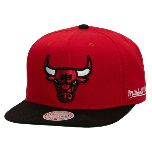 Men's Mitchell & Ness NBA Back In Action Snapback Bulls - Red