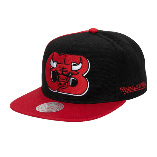 Mitchell & Ness Men's NBA Chicago Bulls Rear Script Deadstock Snapback