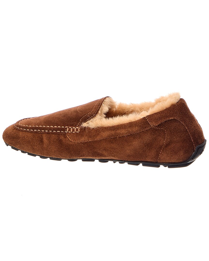BRANDY/CAMEL-