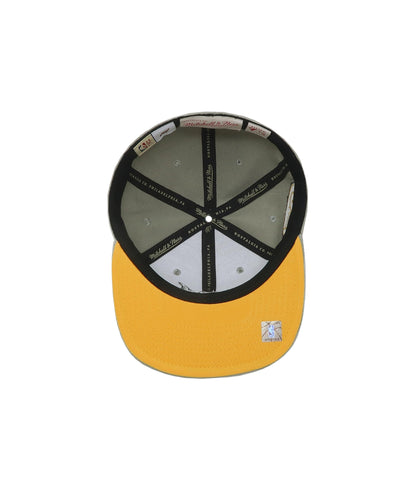 Mitchell & Ness Men's NBA Sunny Gray Fitted Hwc Heat Fitted Caps