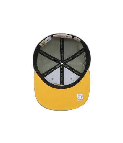 Mitchell & Ness Men's NBA Sunny Gray Fitted Hwc Mavericks