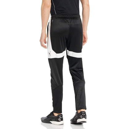 Puma Men's Ftblnxt Pant Pants