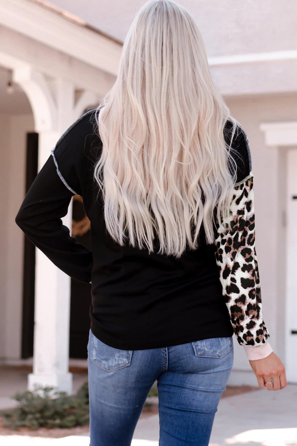 Leopard-