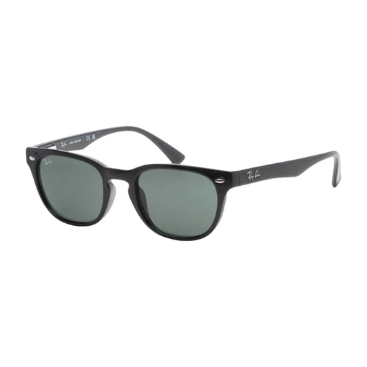 RayBan Sunglasses RB4140 601 49