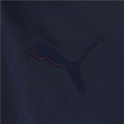 Puma Men's Arsenal Fc 1/4 Zip Top Half Zip & Quarter Zip