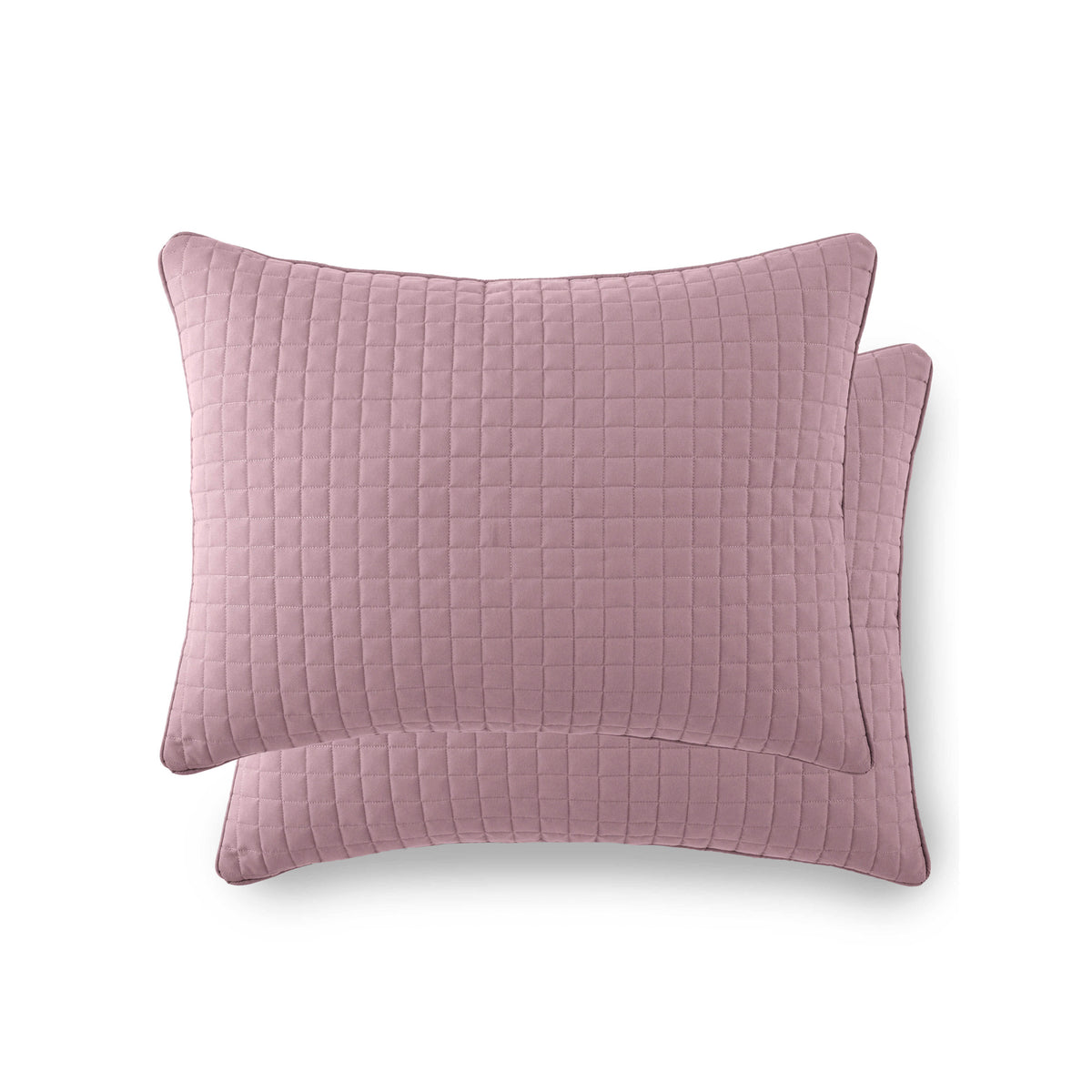 Lavender-