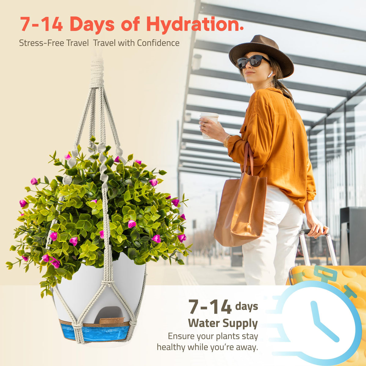 White-