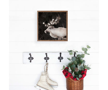 Kendrick Home Glowing Reindeer Black