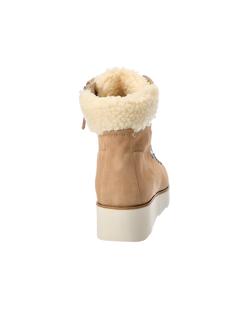 CAMEL-