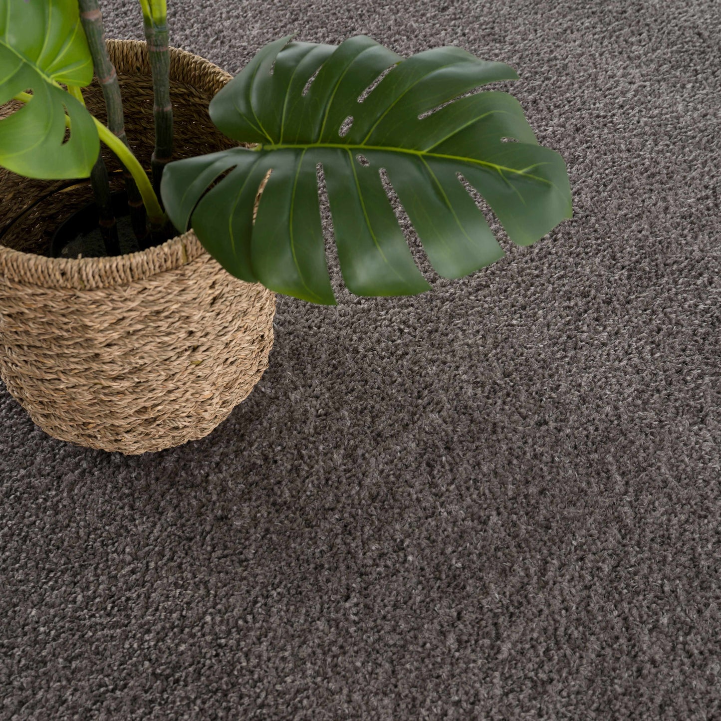 Judy Solid Dark Gray Washable Shag Rug - Clearance