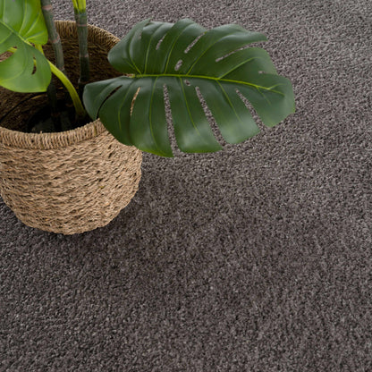 Judy Solid Dark Gray Washable Shag Rug - Clearance