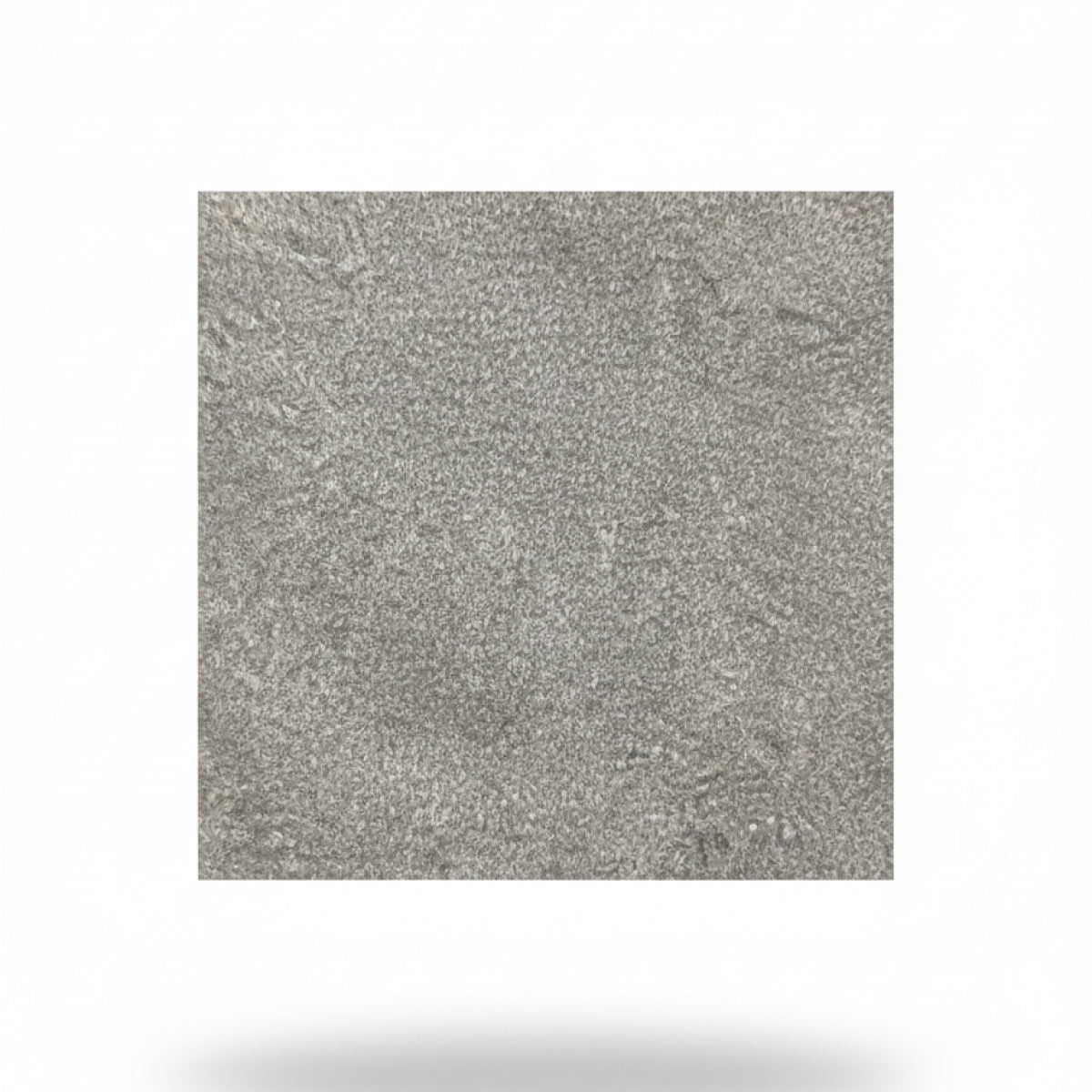 Dove Grey-