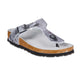 MetallicGrey Silver