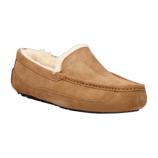 Chestnut-