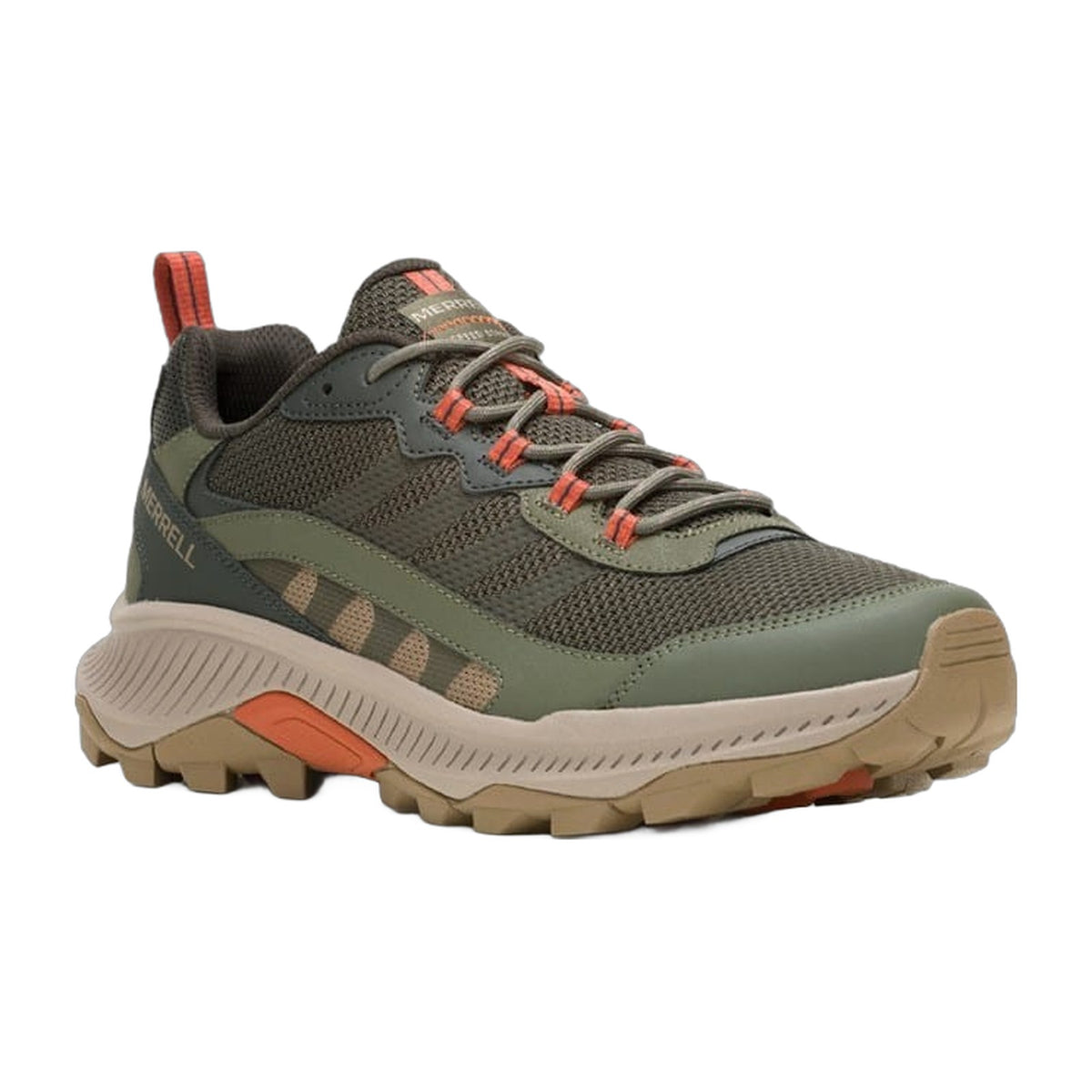 Olive-