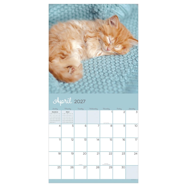 Multi-Color-