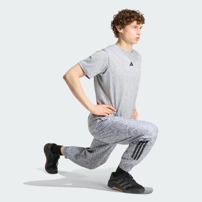 Halo Silver / Grey-