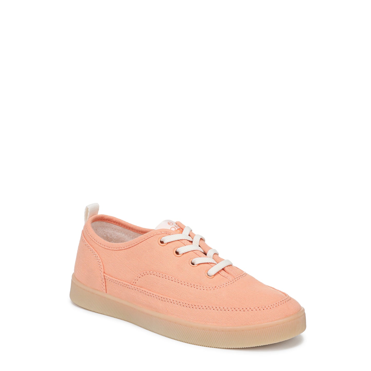 Shell Coral-