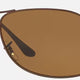 Brown Polarized