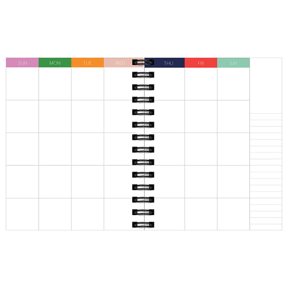 Multi-Color-
