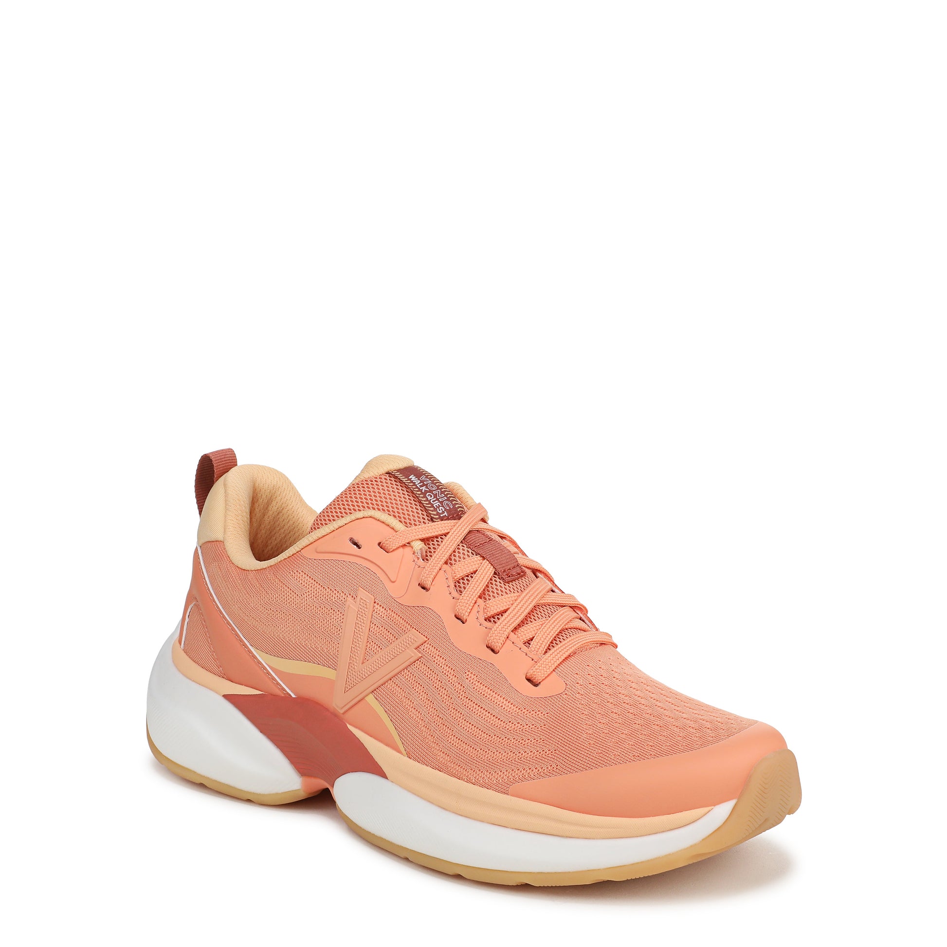 Shell Coral-