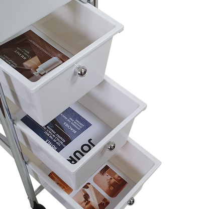 Rolling Storage Cart and Organizer with Plastic Drawers