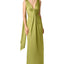 AH373-FERN