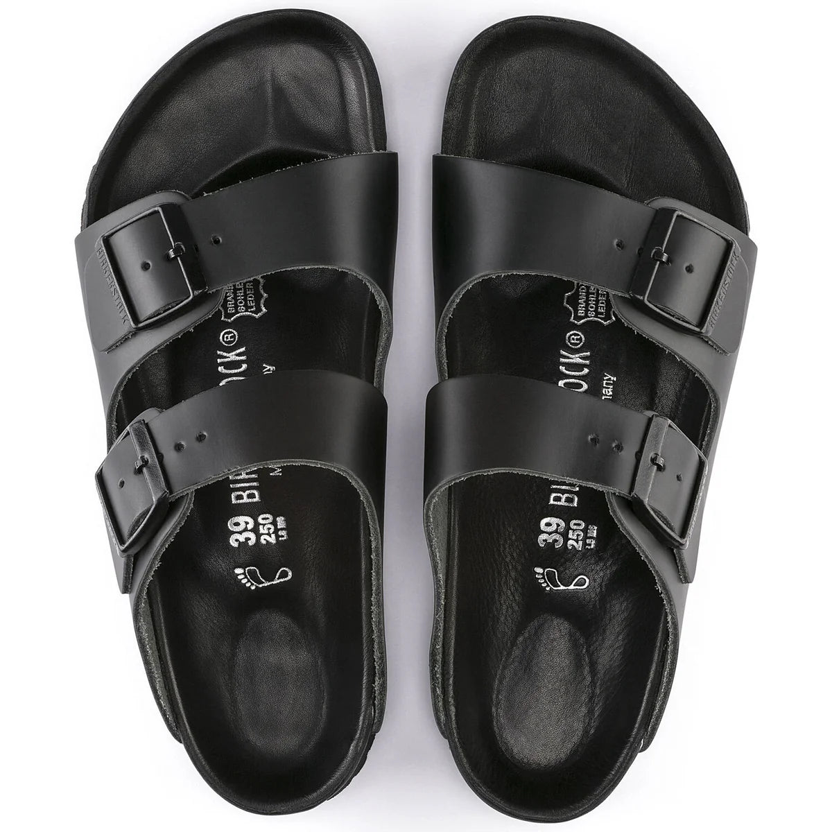 Exquisite Black-