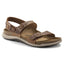 Tobacco Brown