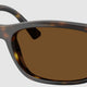Polarized Brown