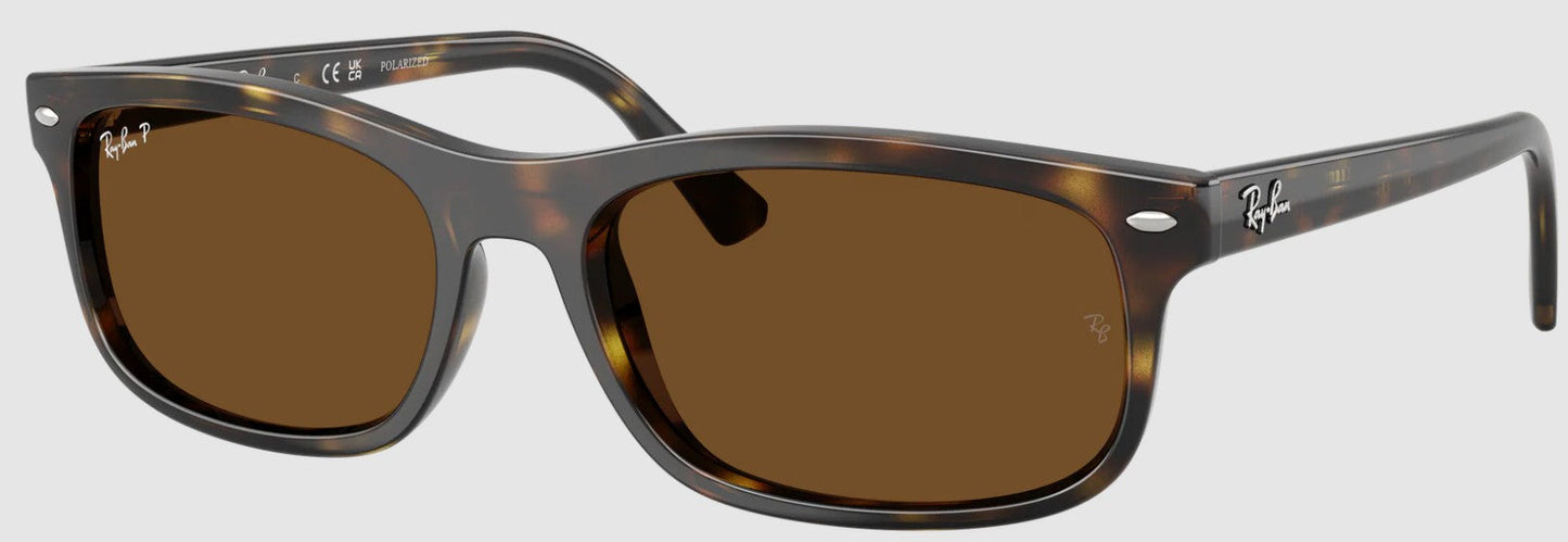 Polarized Brown-