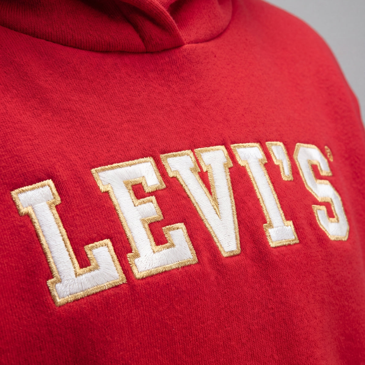 Levi's Girls' Holiday Meet and Greet Hoodie