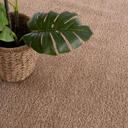 Judy Brown - Promo Washable Area Rug - Clearance
