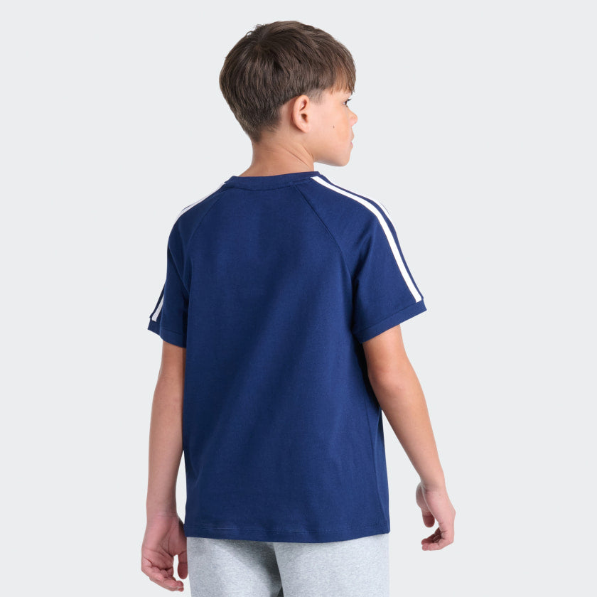 Night Indigo-