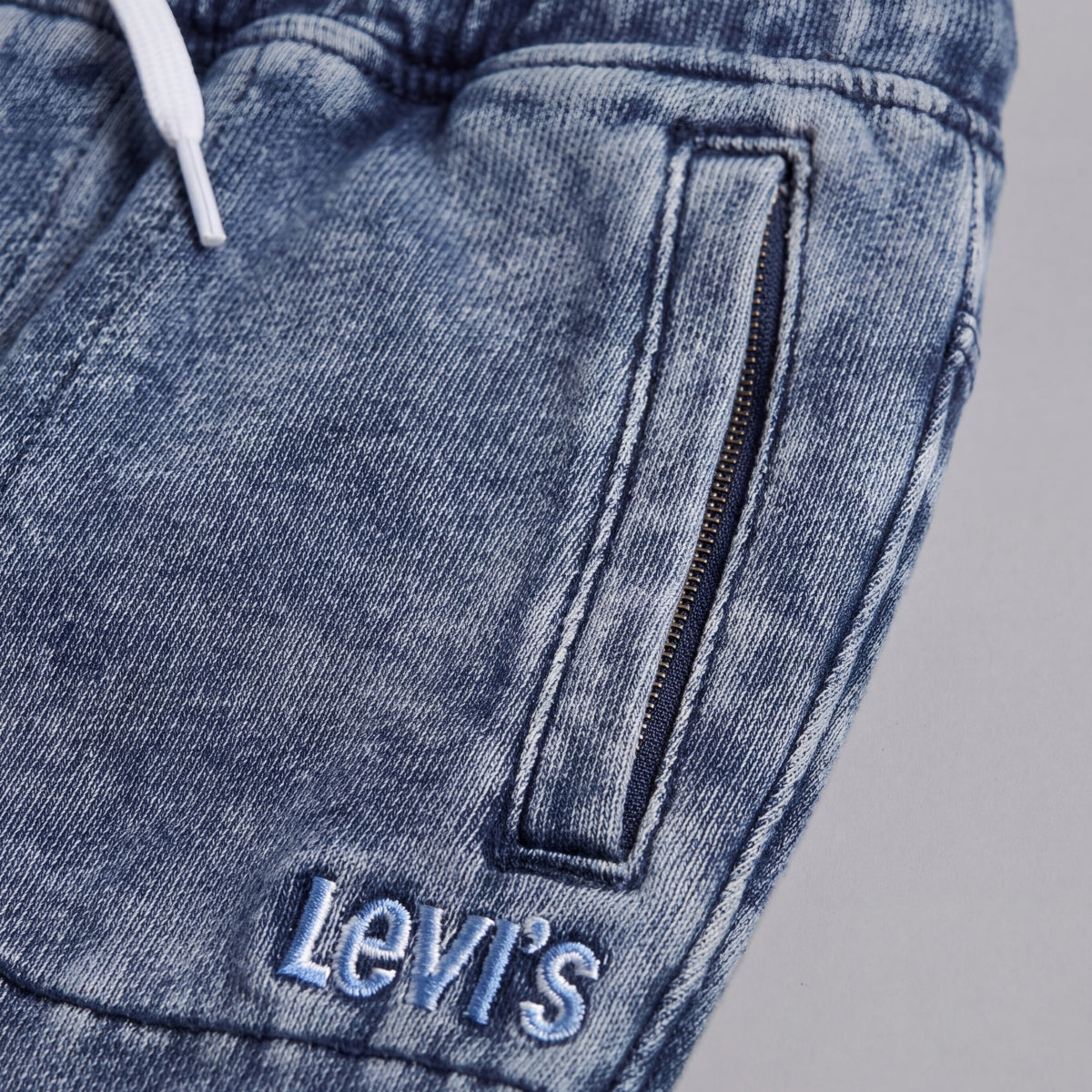 L1S-