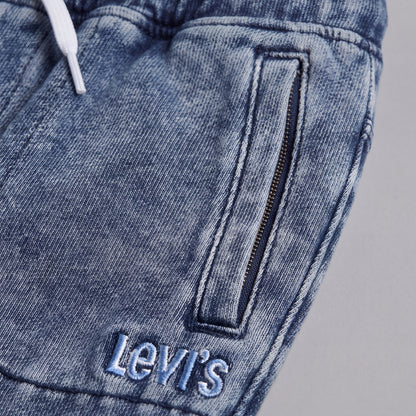 L1S-