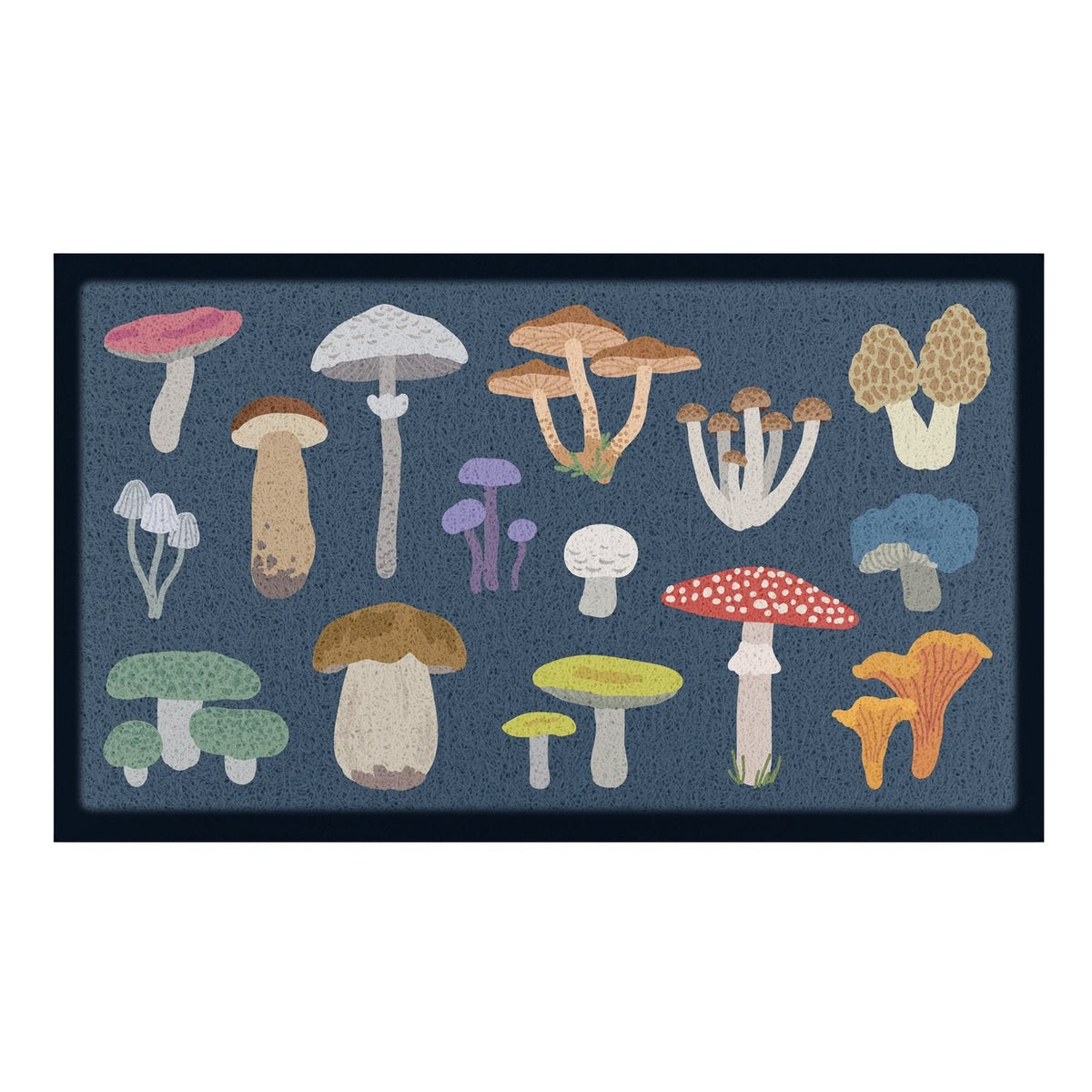 Multi-Color-