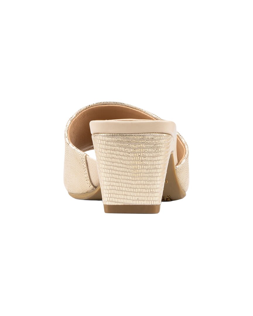 PLTI PLATINO-