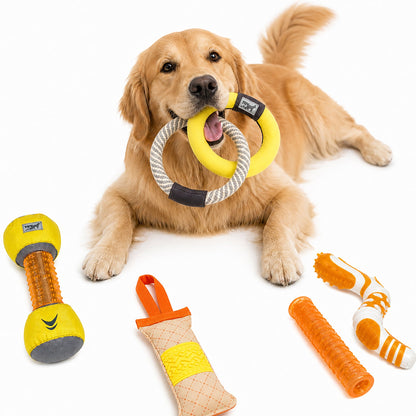 Yellow and Orange-